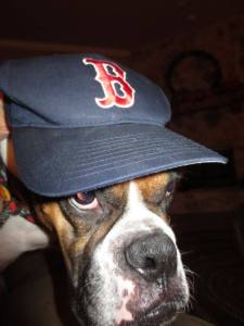 Don't mess with a Red Sox Fan either